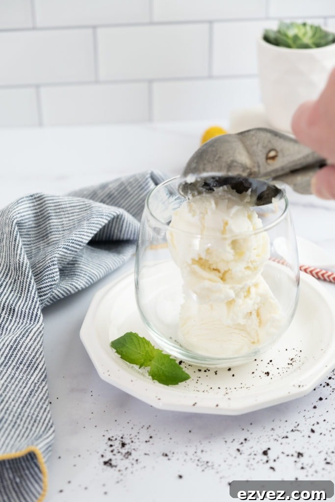 Scoop of vanilla ice cream