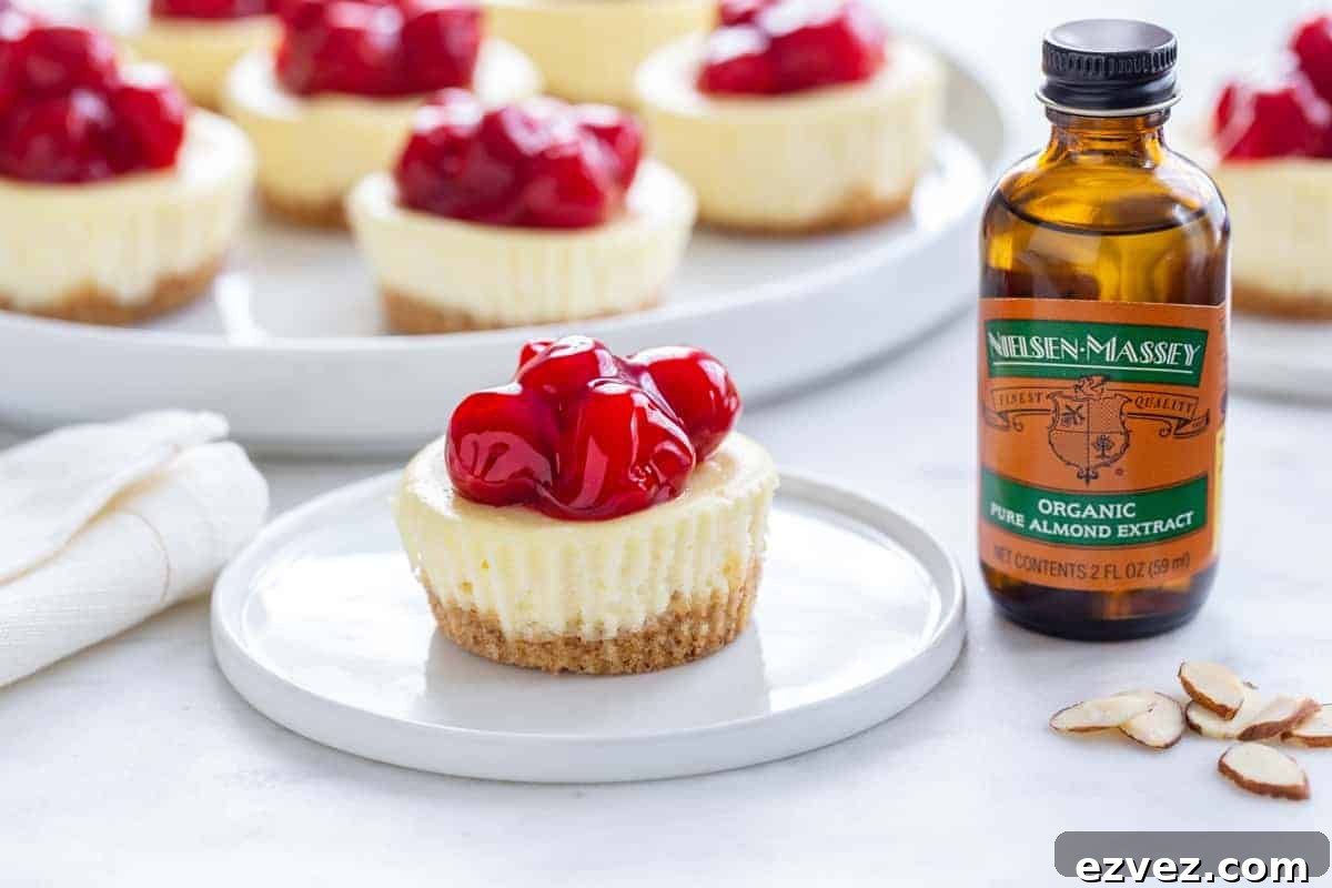 Mini Cherry Almond Cheesecakes are an easy and delicious sweet treat for just about any occasion.