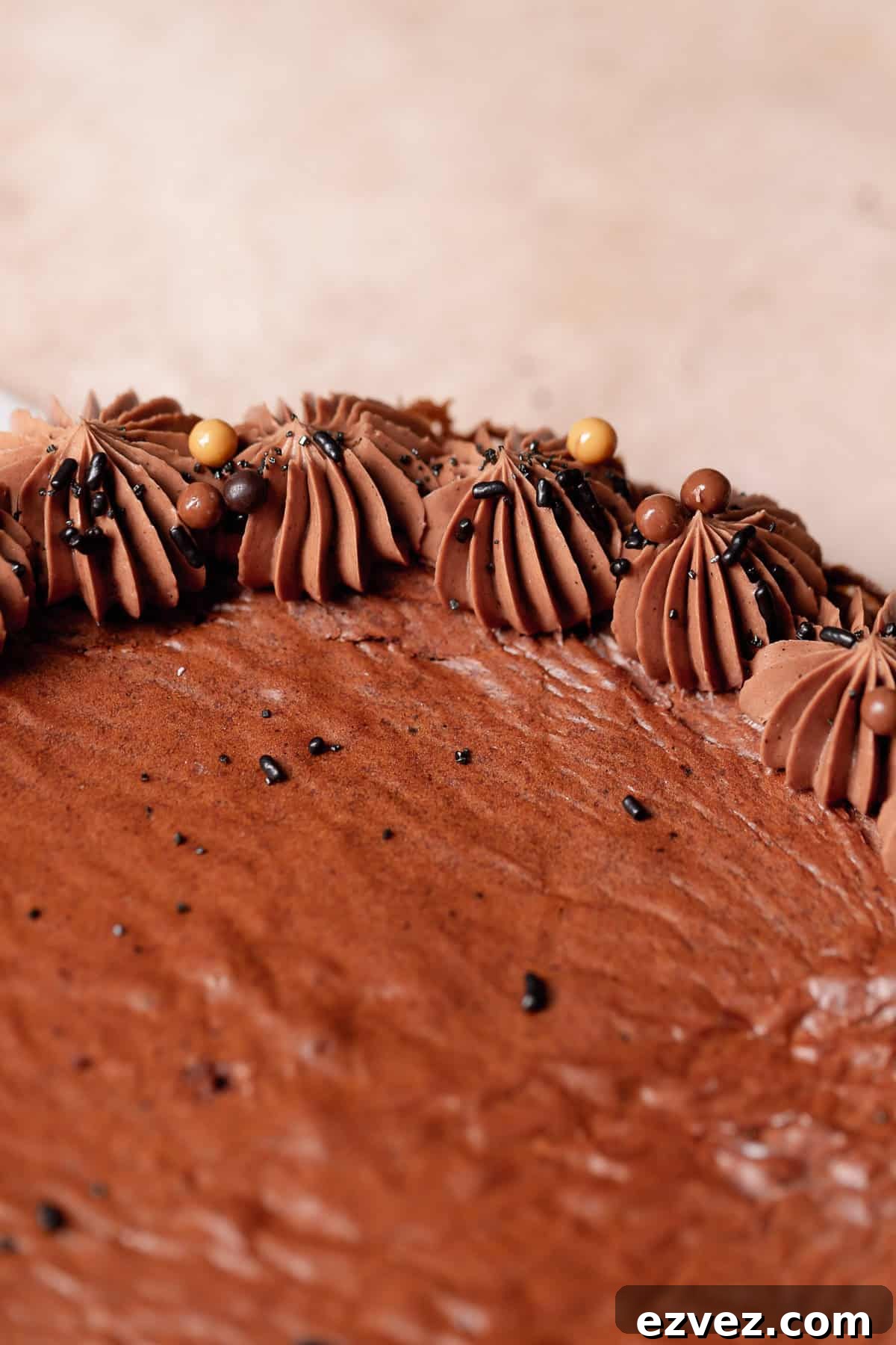 Fudgy Brown Butter Chocolate Brownie Cake Recipe 8 A shot of the side of the brownie cake to show the piped frosting and sprinkles.