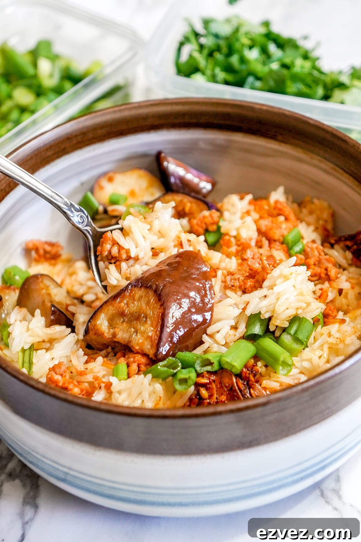 Minced Chicken Eggplant Rice Instant Pot