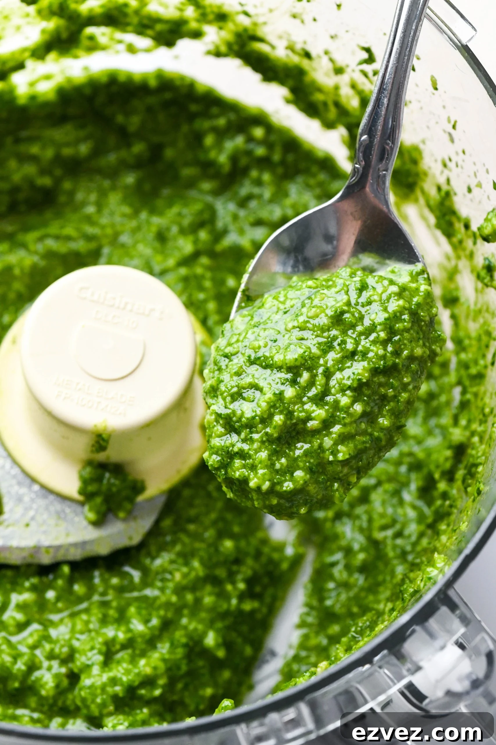 How to make homemade basil pesto: Finished creamy pesto in the bowl of food processor with a spoon scooping some out.