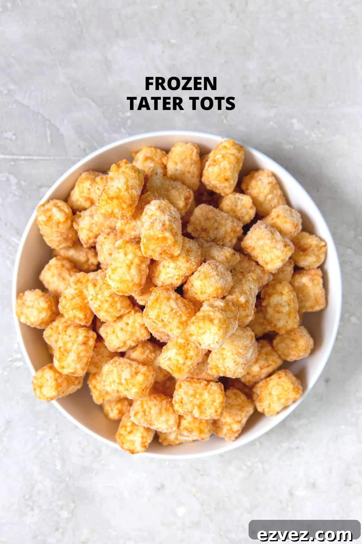 A bowl of frozen tater tots on a grey background.