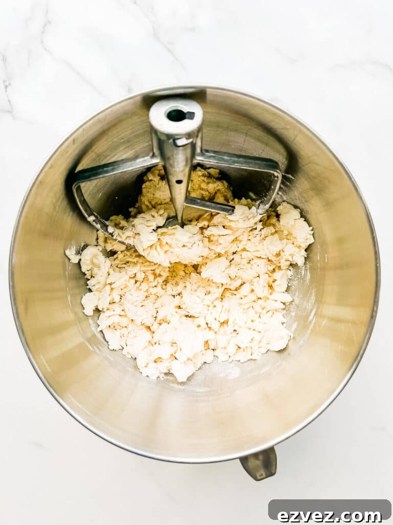 A shaggy pie dough made in a stand mixer with paddle attachment, ready to be gathered and shaped into a disk.