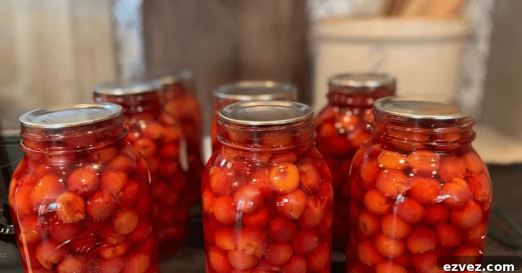 canned cherries for cherry pie