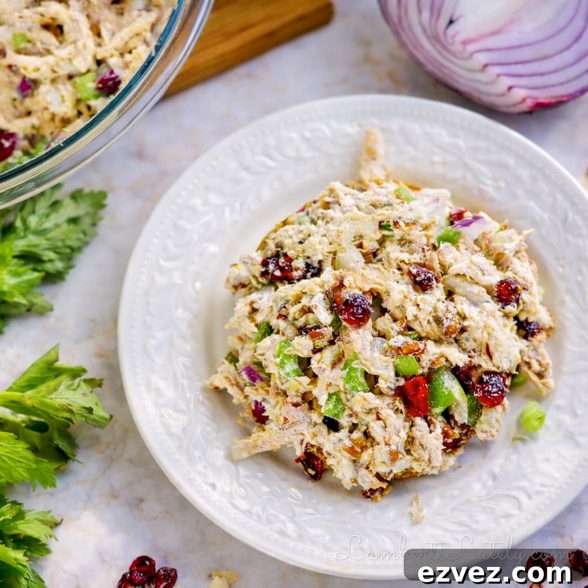 cranberry chicken salad on a bun on a plate, surrounded by a bowl, onion, celery.