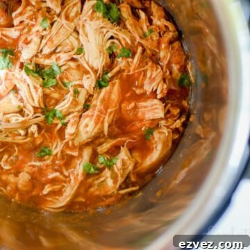 salsa chicken in an instant pot.
