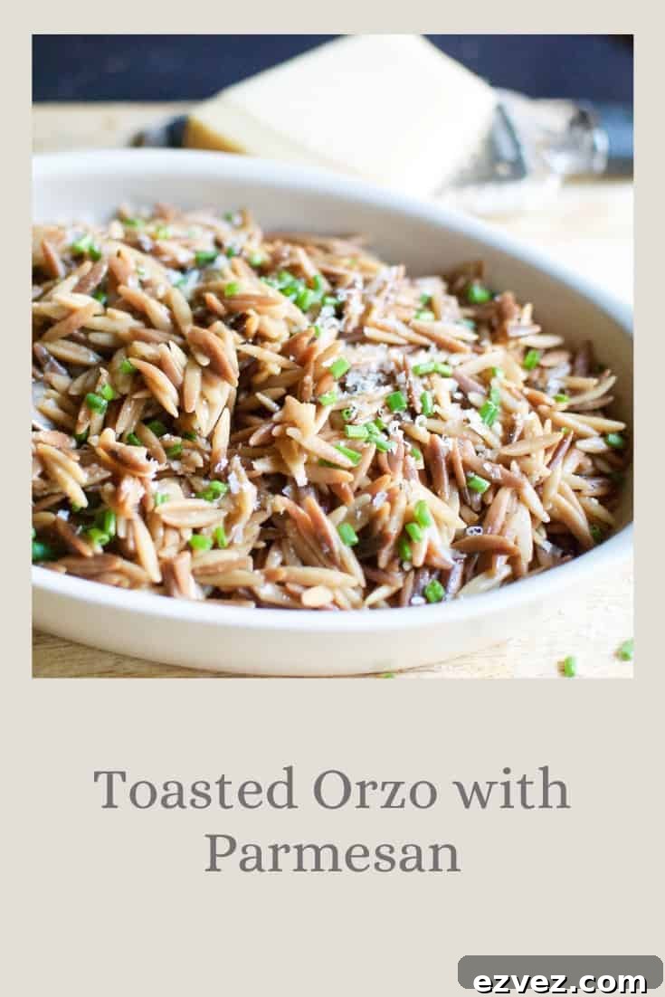 toasted orzo with parmesan