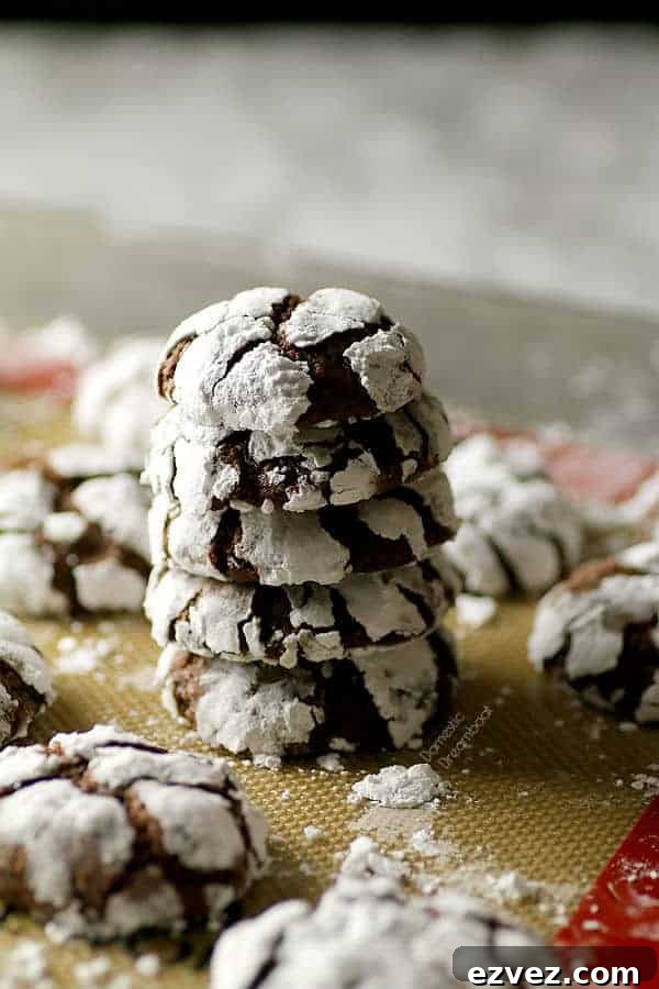 Chocolate Crinkle Cookies
