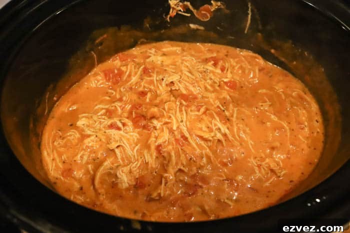 Creamy Tomato Chicken Spaghetti Made in a Slow Cooker 5 cooked chicken in slow cooker shredded