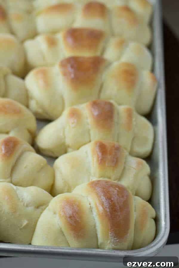 the rolls royce roll recipe that you must try to believe ohsweetbasil.com