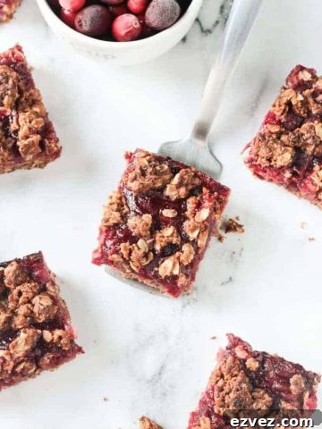 One cranberry oatmeal bar on a metal spatula.
