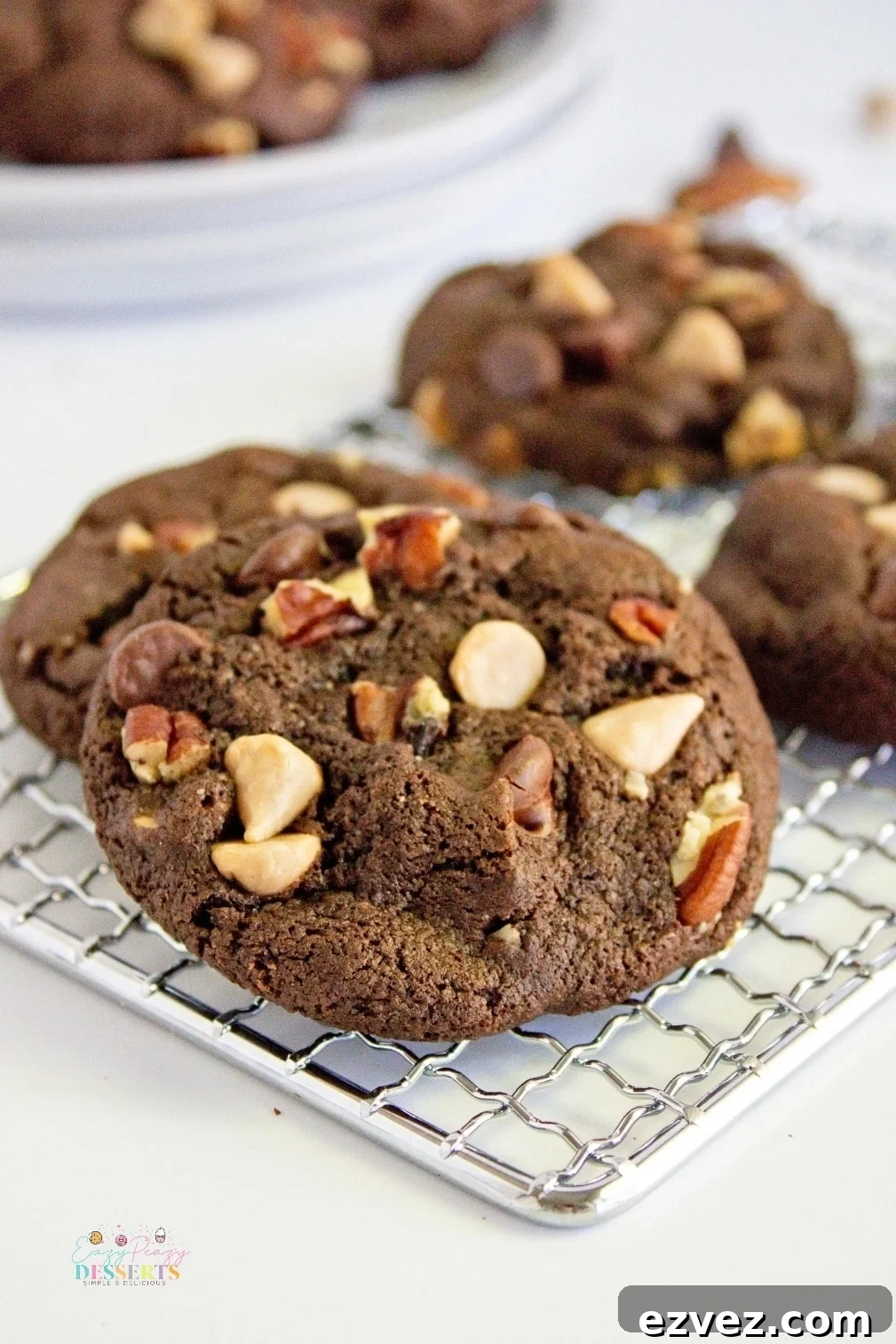 Chocolate chip pecan cookies