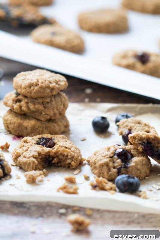 Cookie swap recipes via lizshealthytable.com