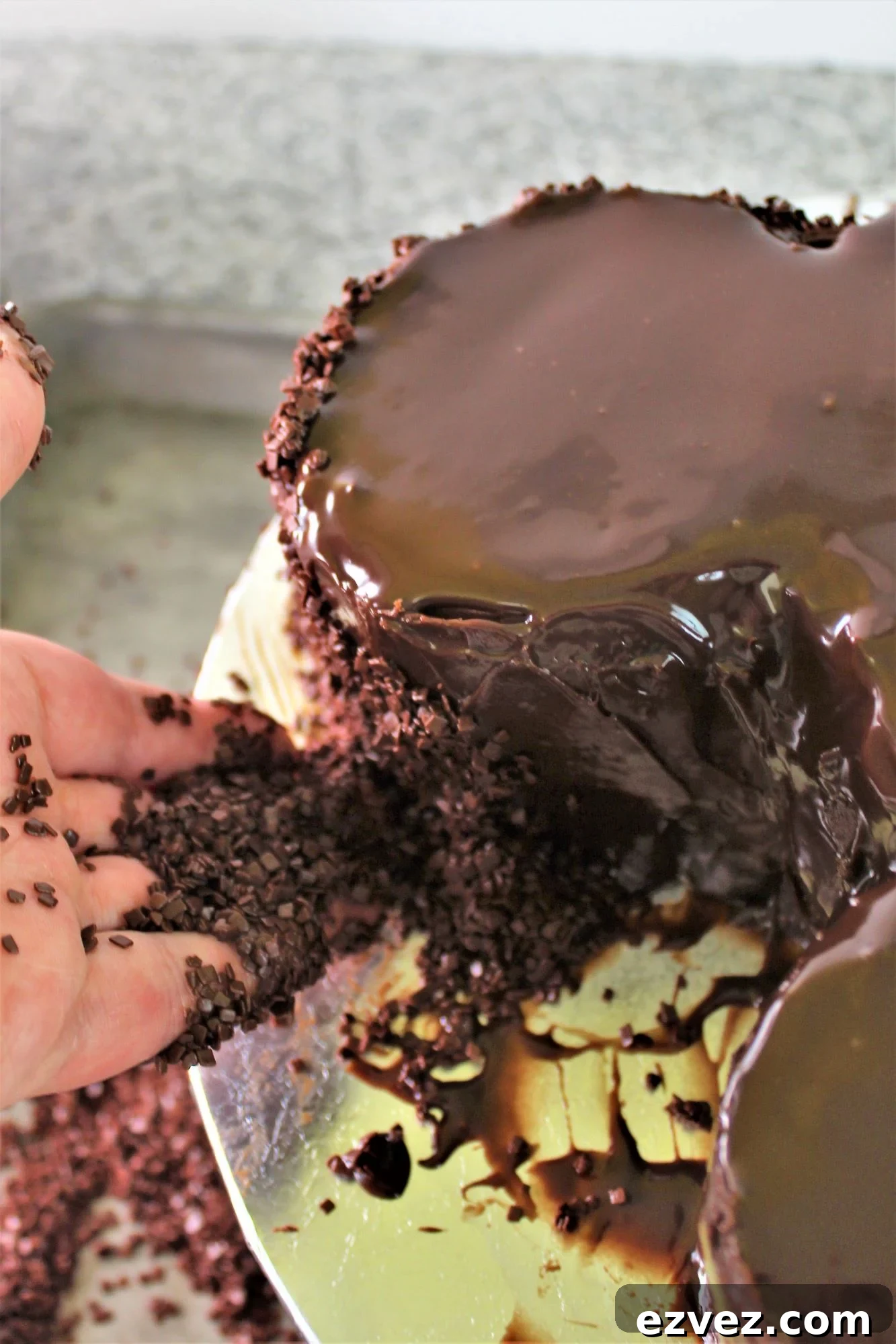 Decadent Gluten-Free Chocolate Cake Recipe for Perfect Texture 12 putting chocolate sprinkles on side of mickey mouse cake.