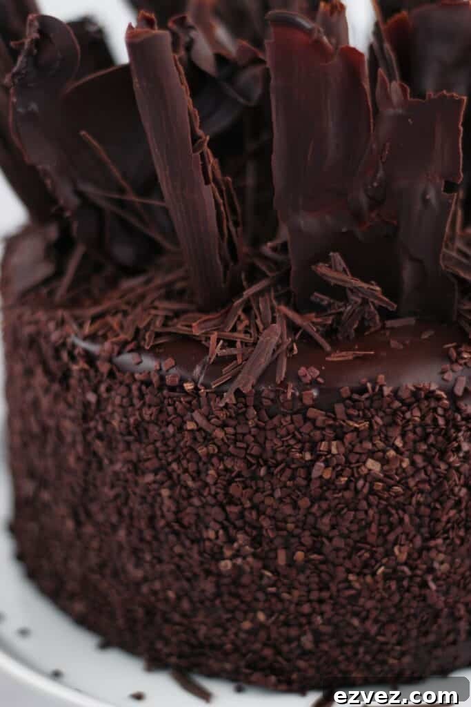 Decadent Gluten-Free Chocolate Cake Recipe for Perfect Texture 3 up close view of side of chocolate cake with ganache and sprinkles.