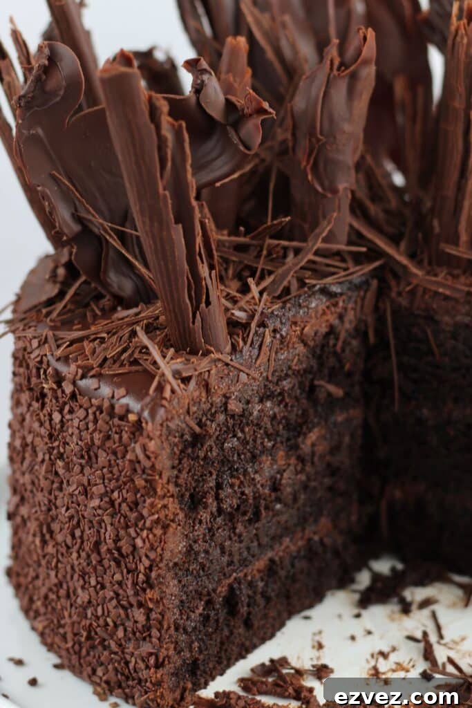 Decadent Gluten-Free Chocolate Cake Recipe for Perfect Texture 9 inside of whole gf chocolate cake showing layers.