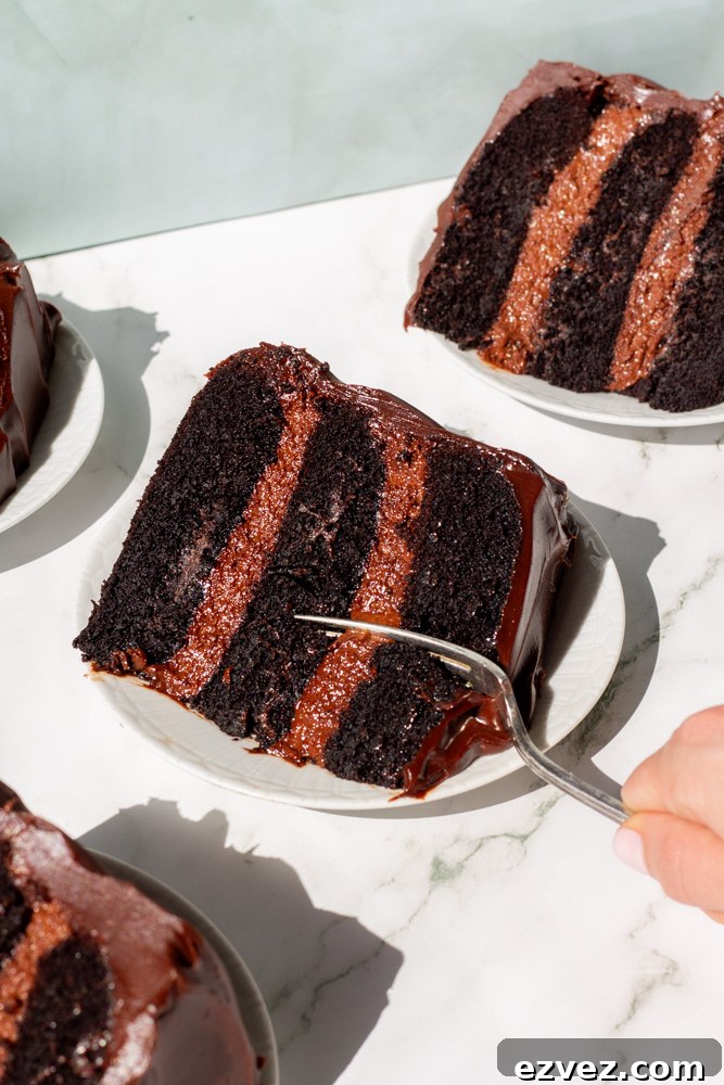 the bear chocolate cake