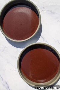 Chocolate Cake layers before baking