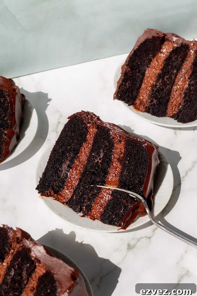 the bear chocolate cake
