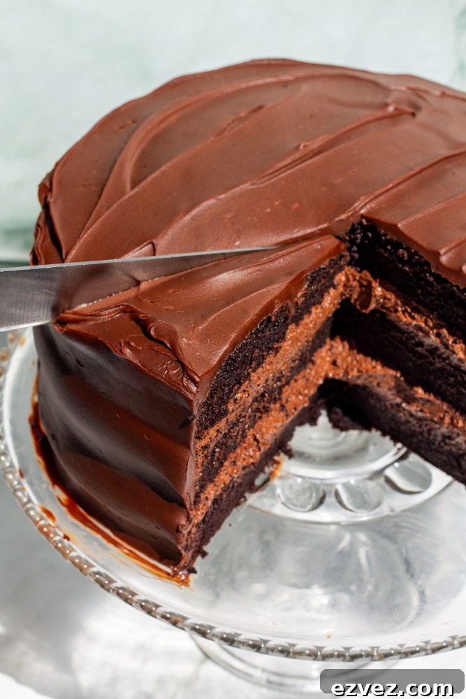 the bear chocolate cake
