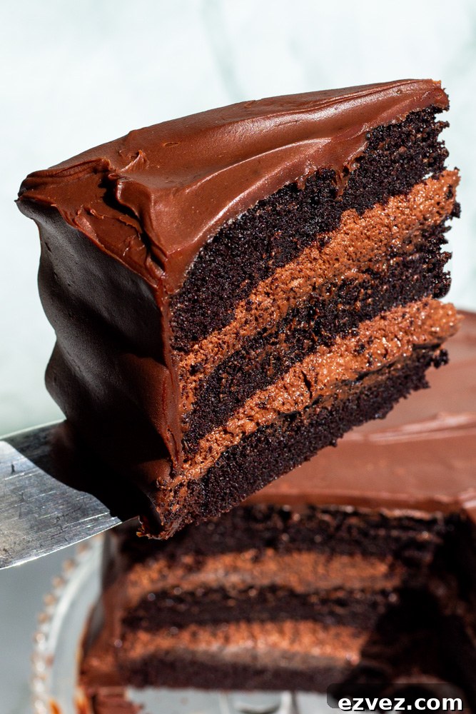 the bear chocolate cake