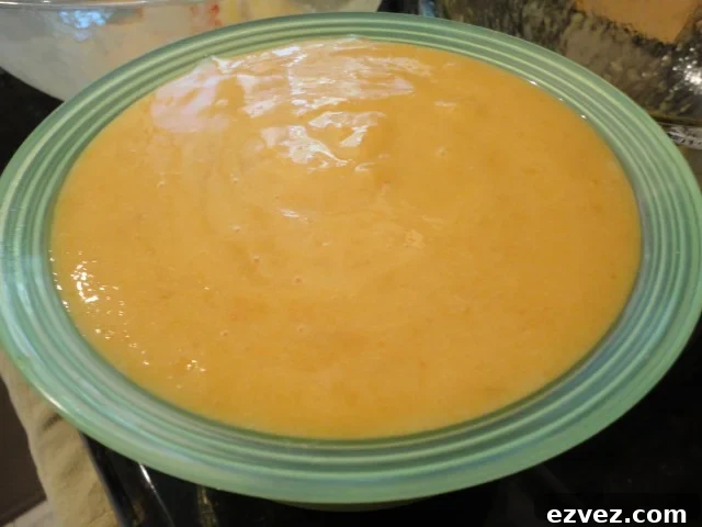 Homemade Peach Sorbet made in the Food Processor ready to be Frozen