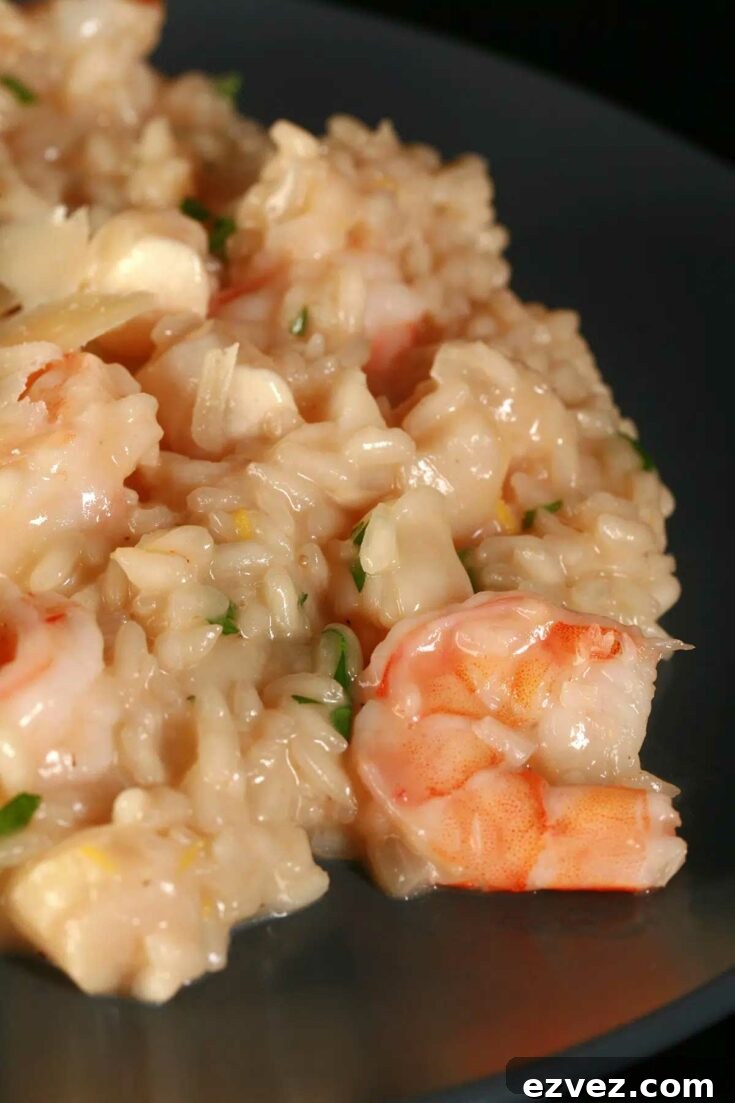Closeup of seafood risotto on black plate with a shrimp as the focus.