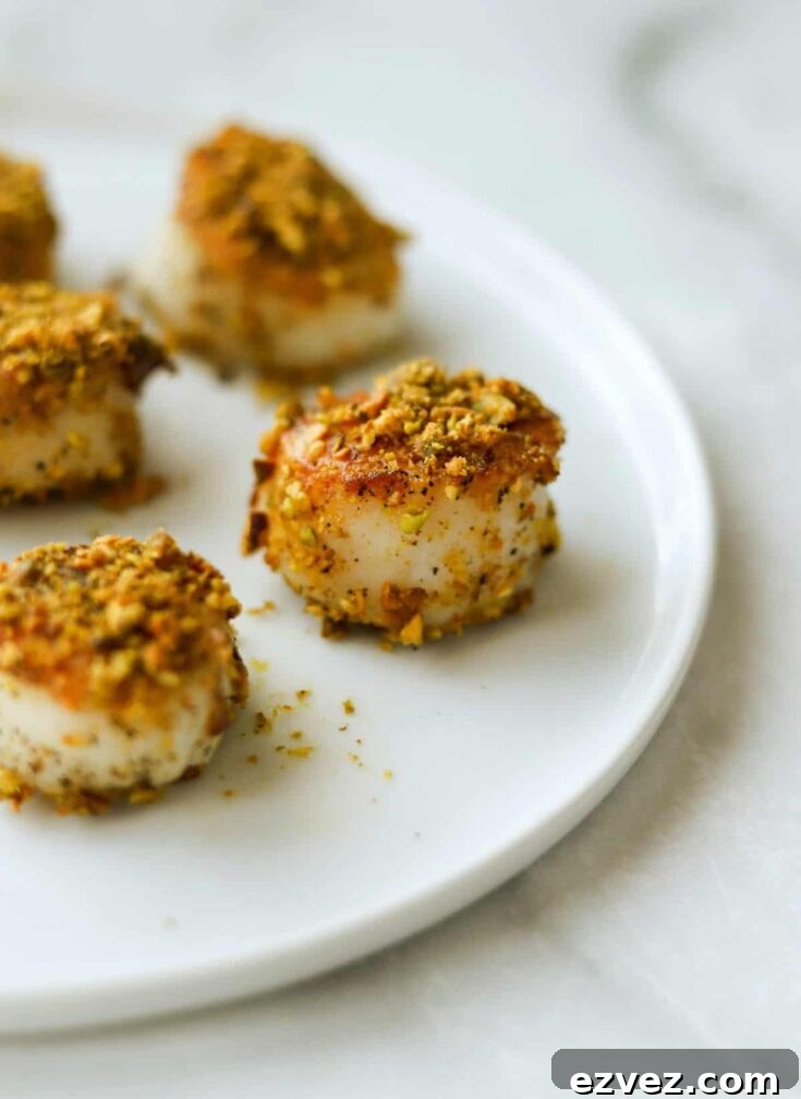 Closeup of one specific scallop, on white rimmed plate with other scallops surrounding.