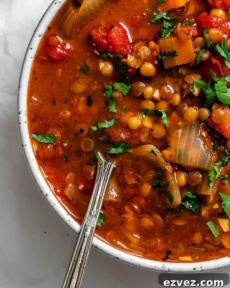 Hearty Spicy Lentil Soup Recipe with Warm Moroccan Flavors 14 completed Spicy Lentil Soup plated against a white surface