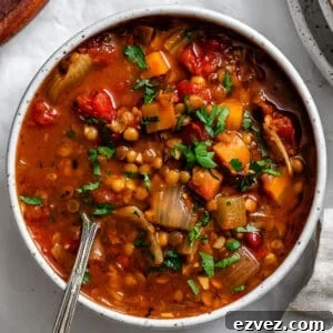 Hearty Spicy Lentil Soup Recipe with Warm Moroccan Flavors 17 completed Spicy Lentil Soup plated against a white surface