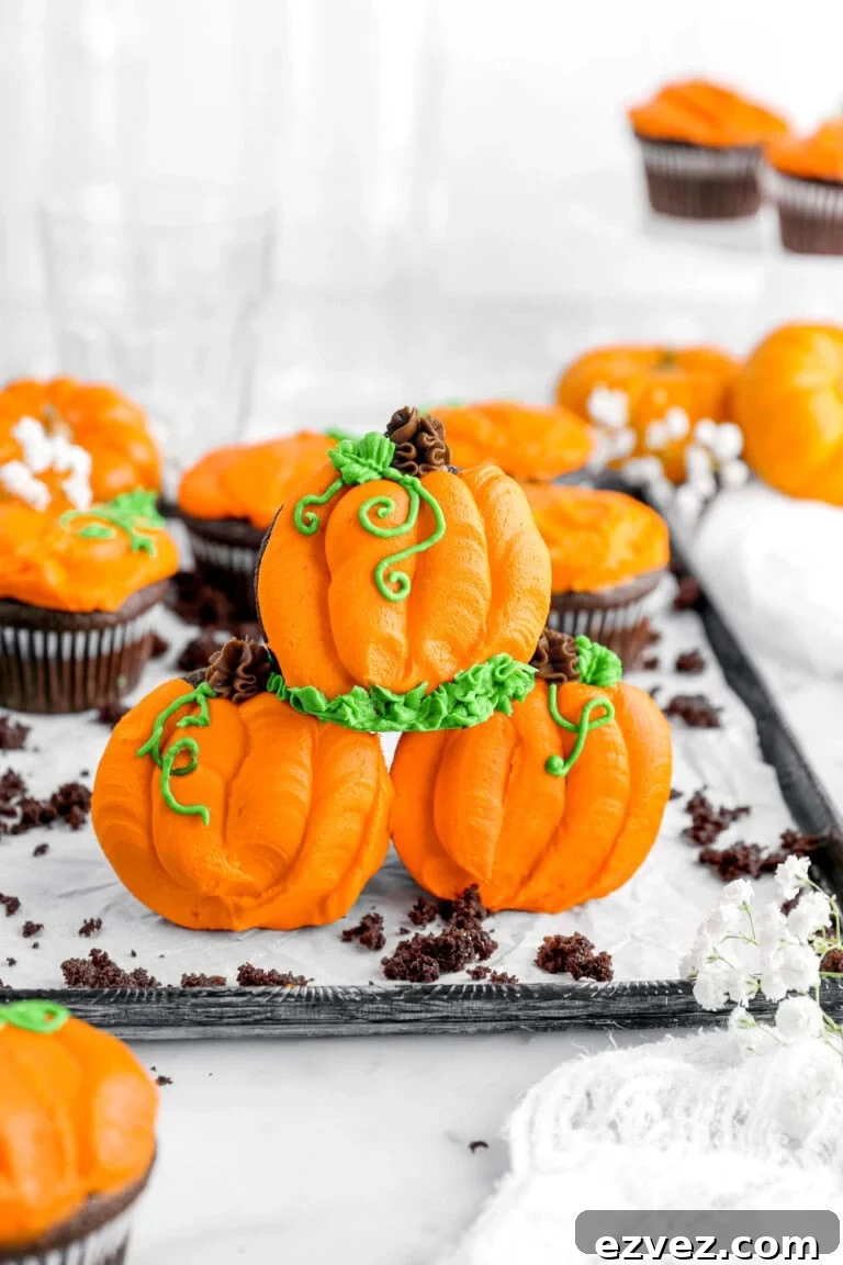 chocolate pumpkin cupcakes.