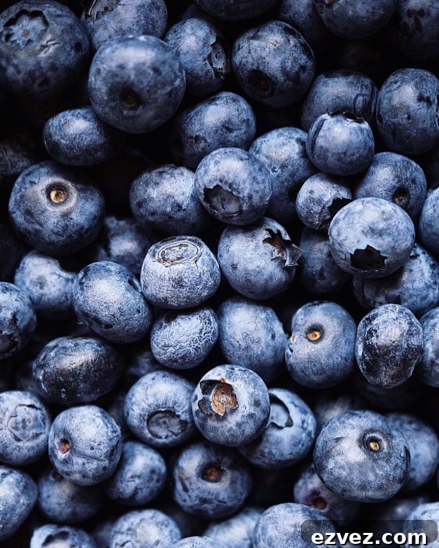 Quonquont Farm Blueberries
