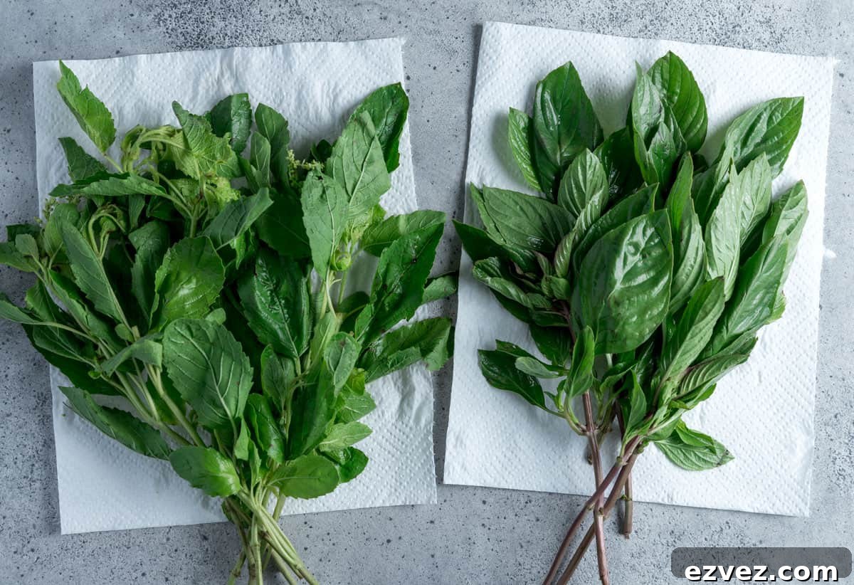 Photo showing a bunch of thai holy basil on the left and thai sweet basil on the right.