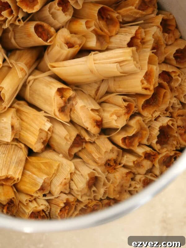 Colorado-Style Green Chile Pork Roast Recipe 12 Authentic pork tamales rojos recipe by Yvette Marquez-Sharpnack of Muy Bueno, showing a large steamer filled with homemade red chile pork tamales wrapped in corn husks