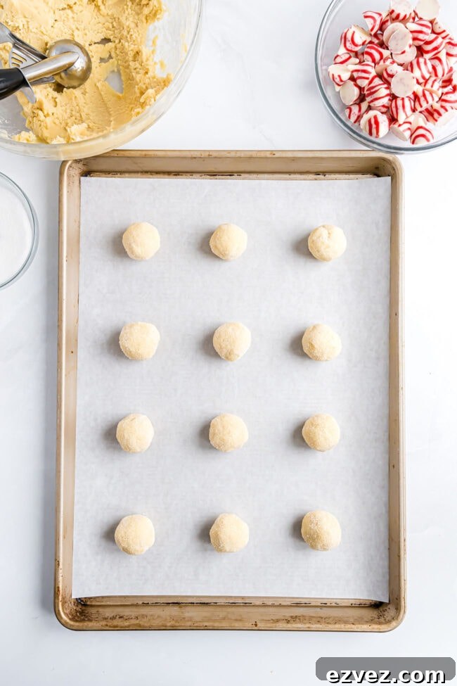 Sugar-coated cookie dough balls arranged on a parchment-lined baking sheet.