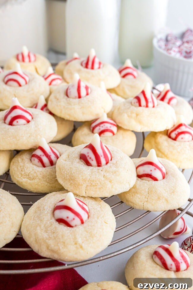 Candy Cane Kiss Cookies cooling on a wire rack, showing the peppermint Kisses in the center.