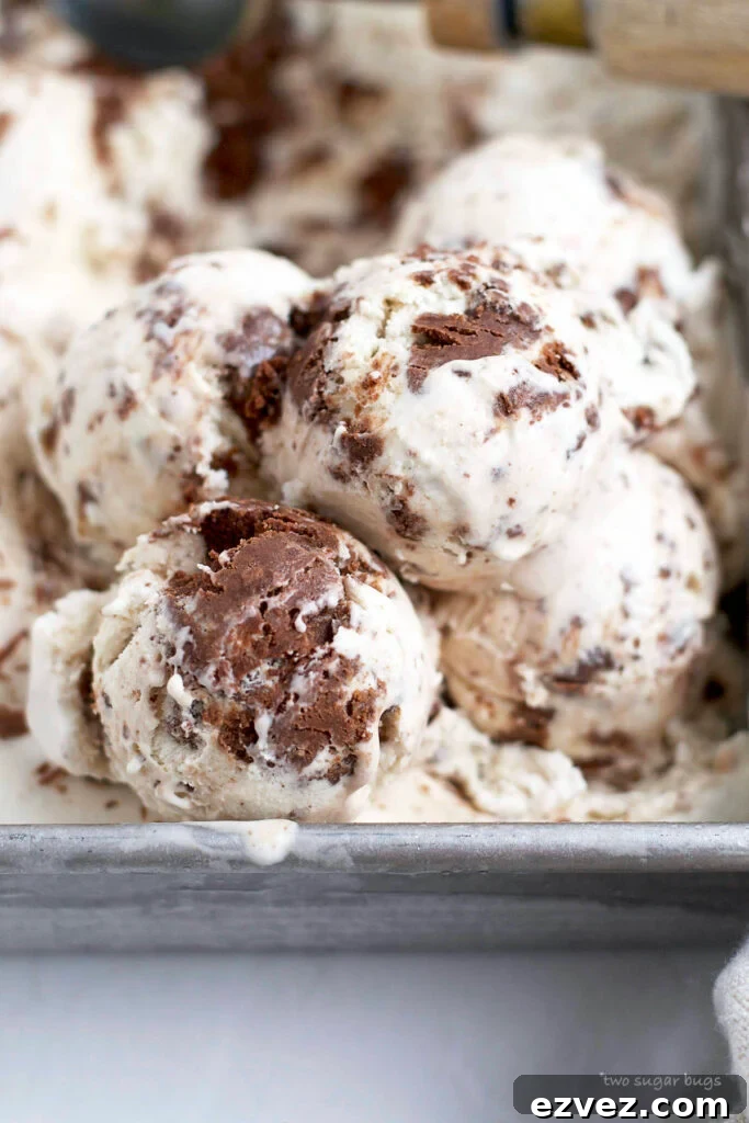 Brownie Batter Ice Cream Recipe: Rich Homemade Ice Cream with Fudge Chunks 2 scoops of brownie batter ice cream