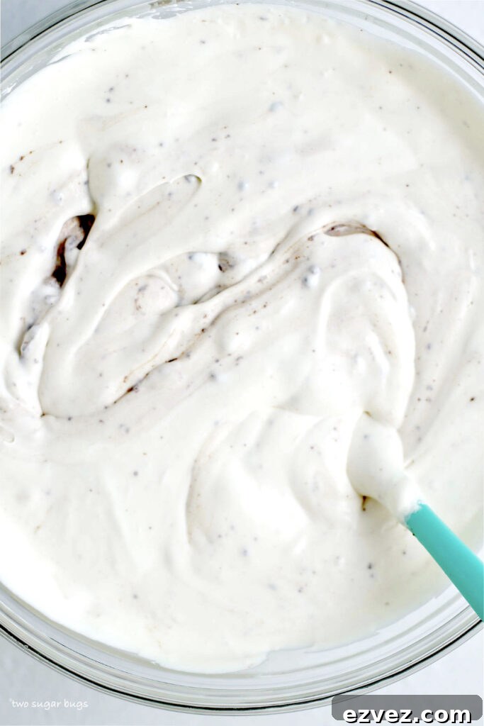 Brownie Batter Ice Cream Recipe: Rich Homemade Ice Cream with Fudge Chunks 12 brownie batter ice cream in a bowl before freezing