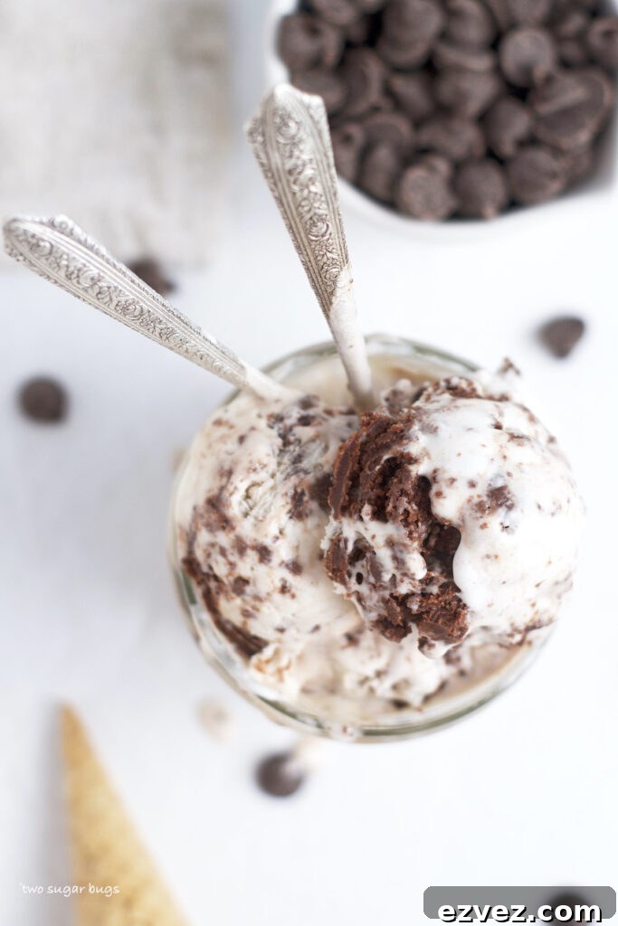 Brownie Batter Ice Cream Recipe: Rich Homemade Ice Cream with Fudge Chunks 14 downward look on a glass of brownie batter ice cream with two spoons