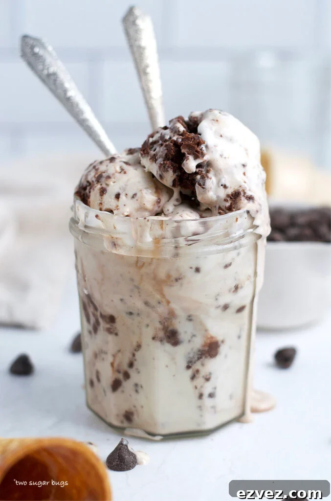 Brownie Batter Ice Cream Recipe: Rich Homemade Ice Cream with Fudge Chunks 15 brownie batter ice cream in a glass jar with two spoons