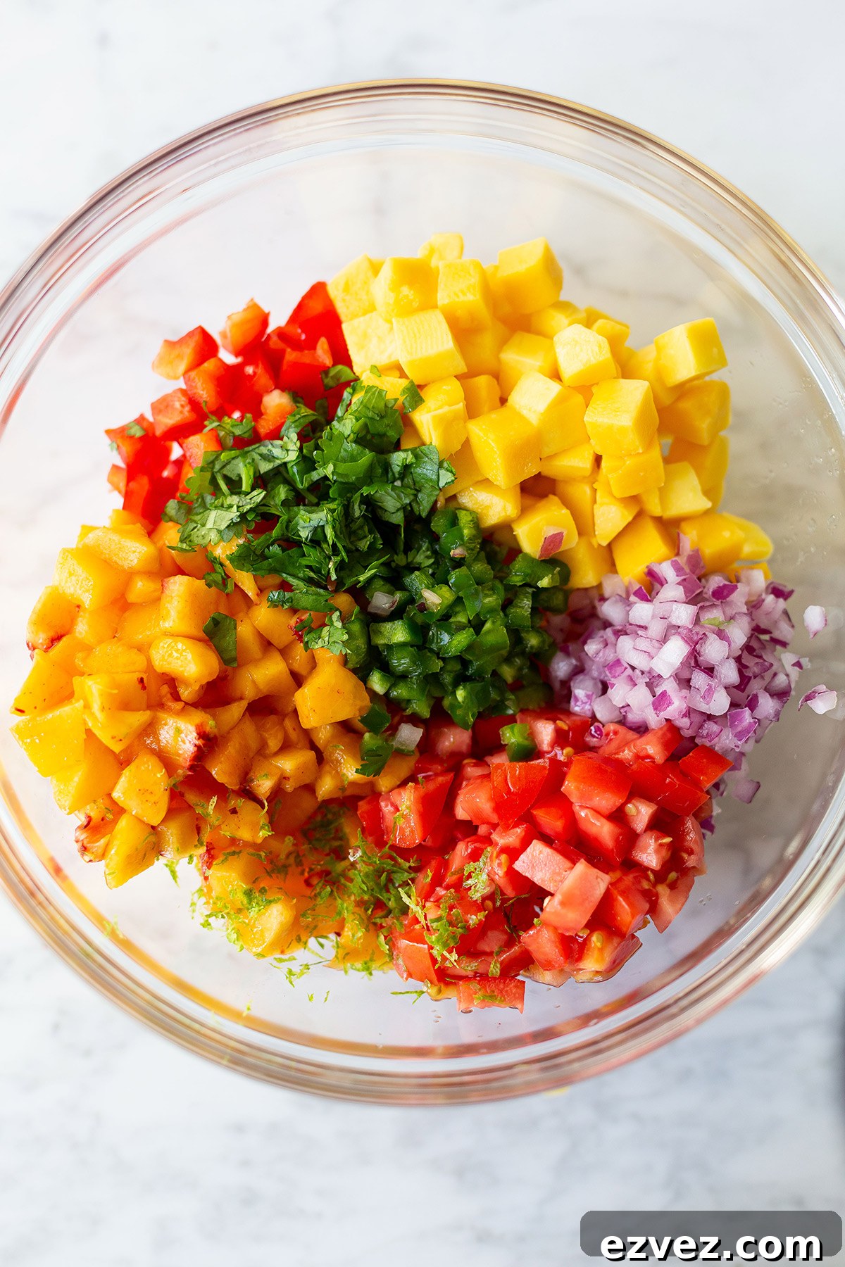 Peach and mango salsa close-up