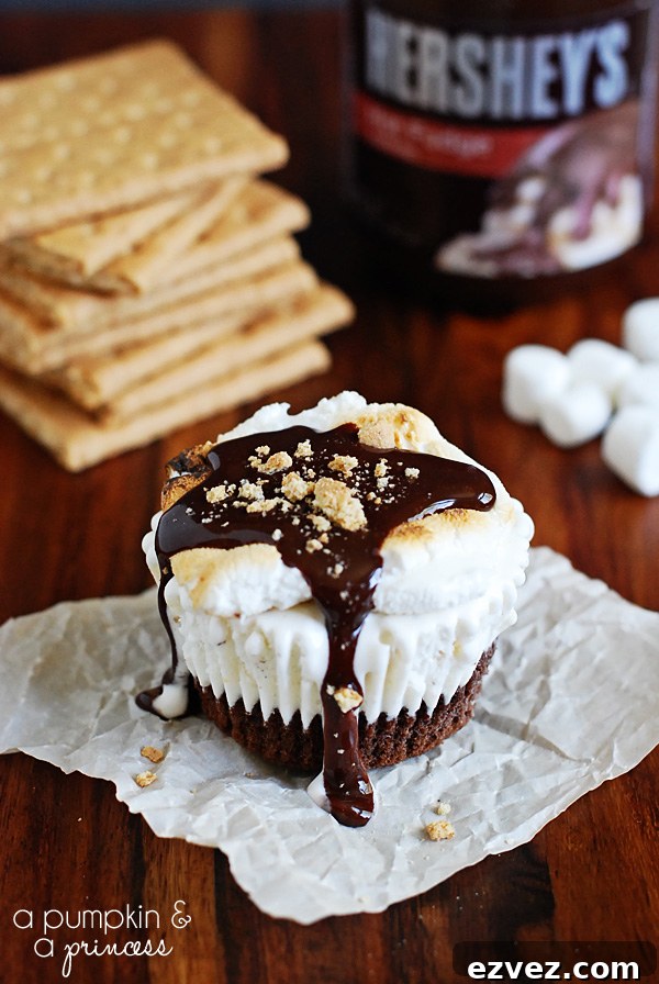 S'mores Ice Cream Cupcakes