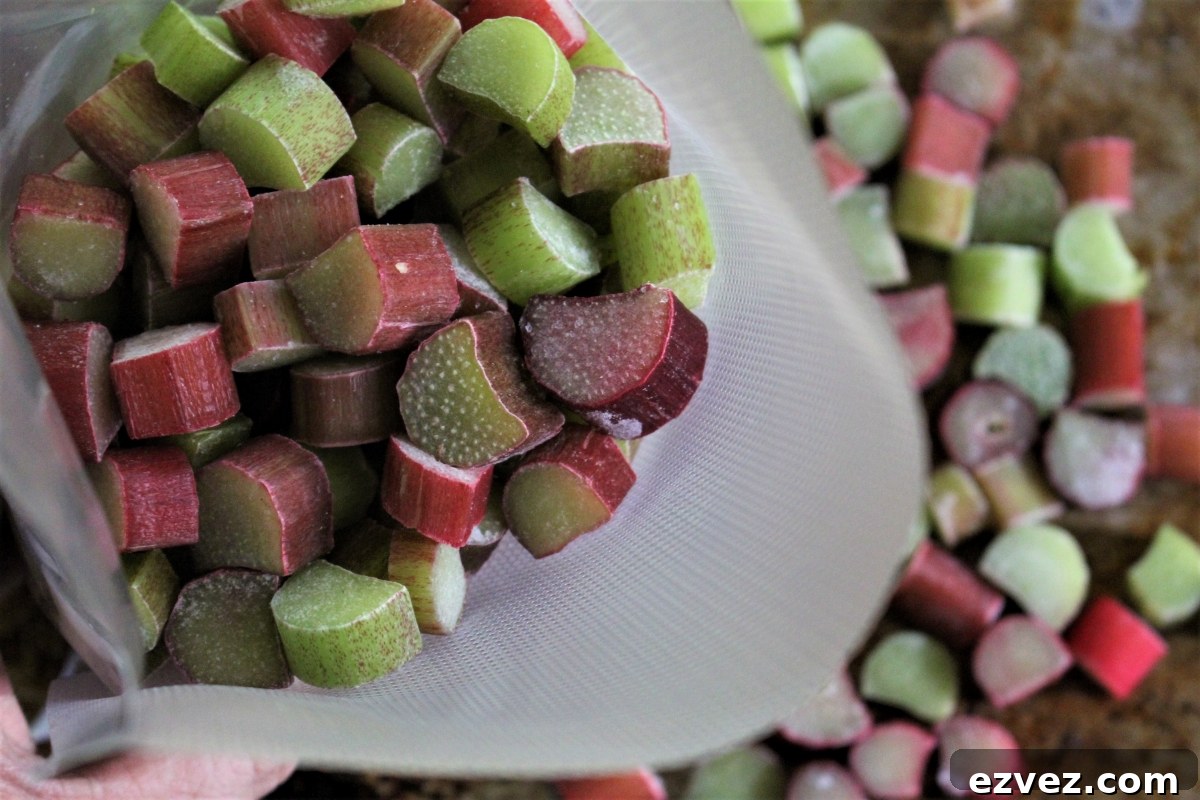 Loading Frozen Rhubarb into Bag