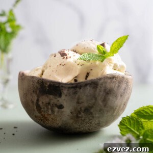 A small bowl of fresh mint chocolate chunk ice cream