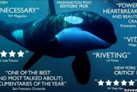 Family Reaction and Review: Watching Blackfish Documentary