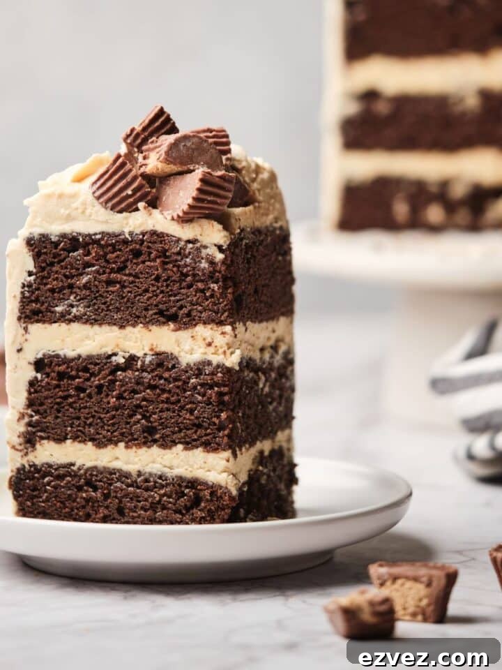 A large slice of chocolate cake with peanut butter frosting.