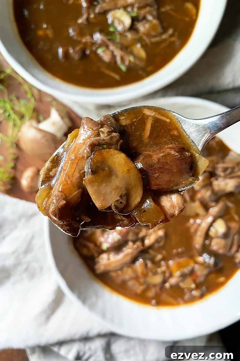 Leftover Pot Roast Mushroom Soup Recipe for Comforting Meals 6 Vertical top-down image of a spoonful of a mushroom soup over two bowls.