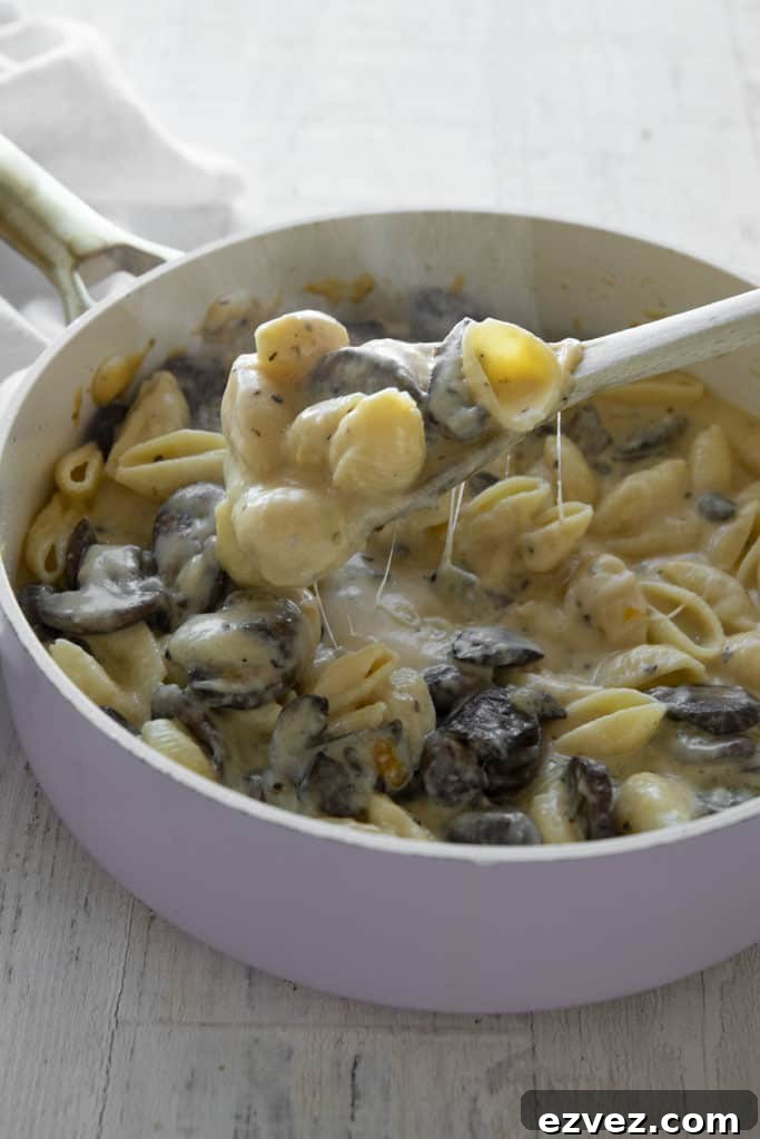pan of mushroom shells and cheese