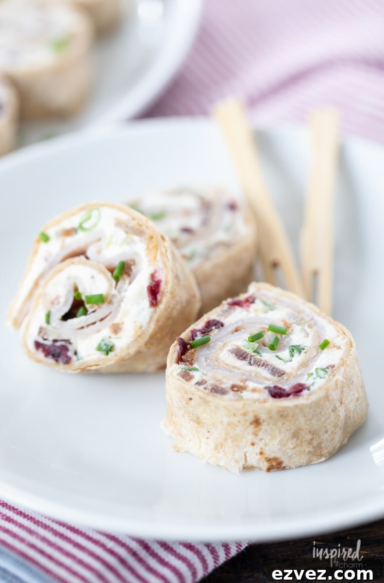 Turkey, Bacon and Cranberry Roll-Ups 3 Turkey Bacon Cranberry Roll-Ups closeup