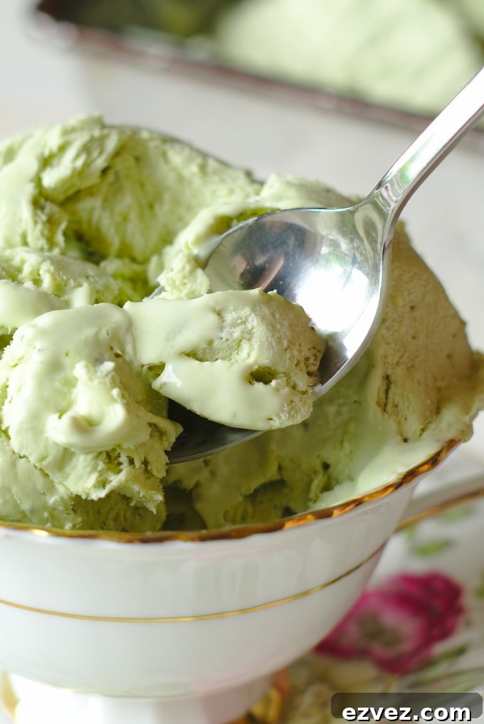 No Churn Ice Cream Recipes